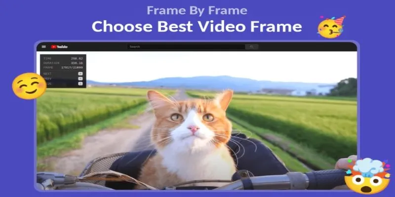 Frame by Frame Chrome extension interface