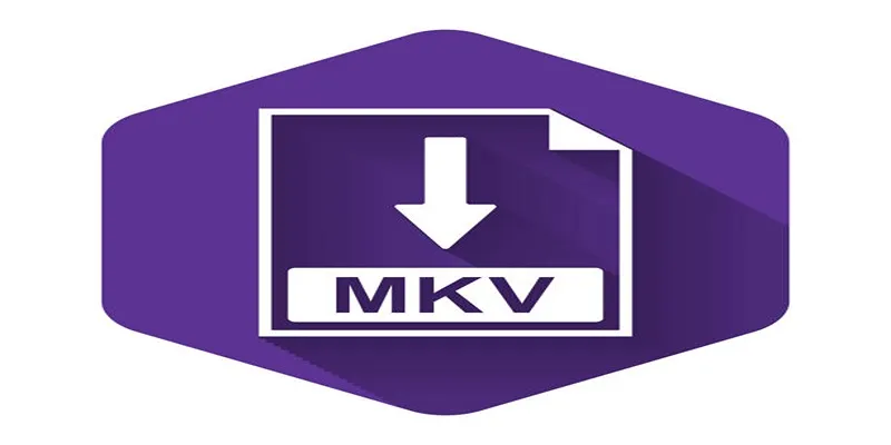 Why Convert MKV to AVI