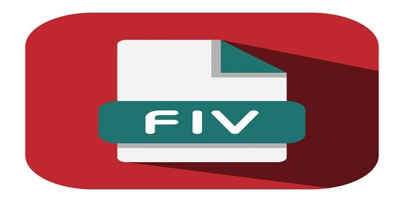 FLV file format illustration