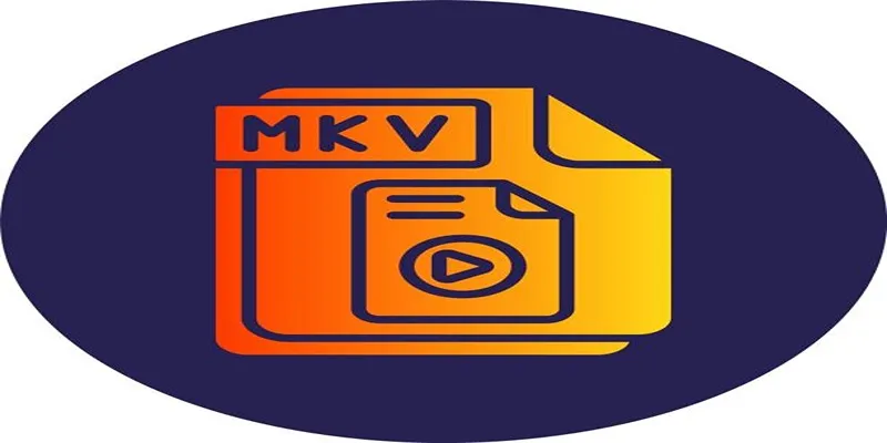 MKV Format Example