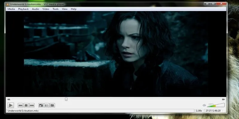 VLC Media Player Interface