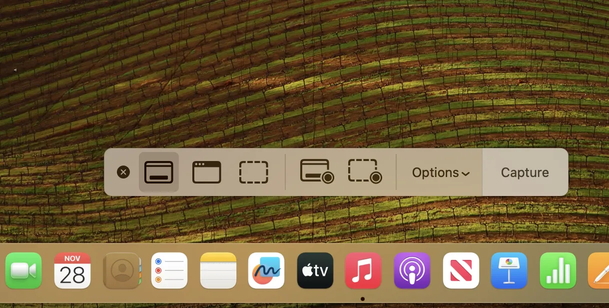 macOS Screenshot Toolbar in Action