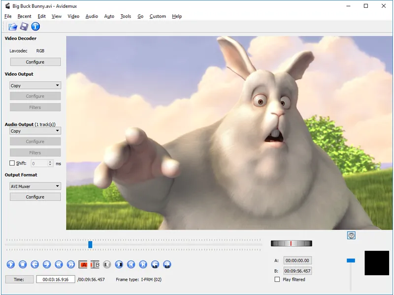 Video Conversion Software Interface