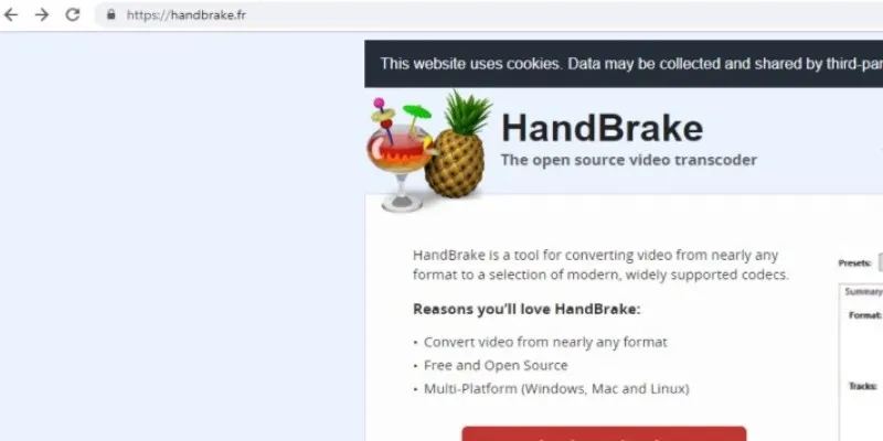 HandBrake Interface
