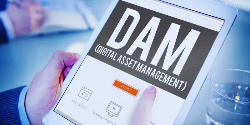 Organized digital files on a mobile device