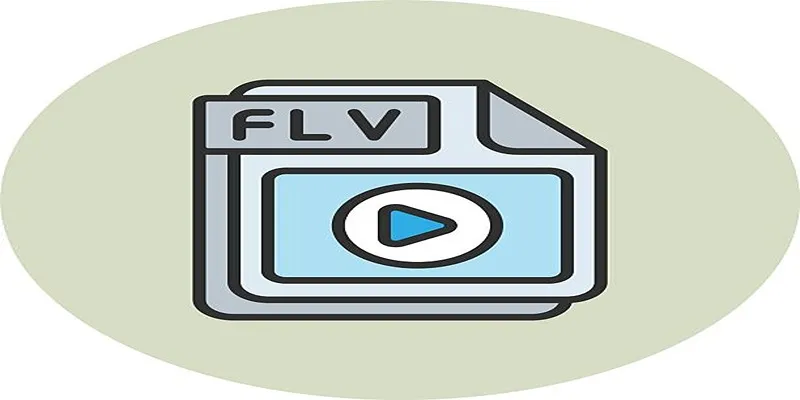 Compatibility challenges between FLV and AVI formats