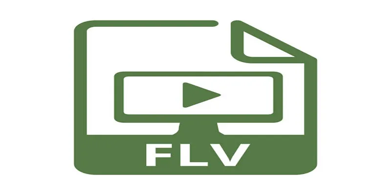 FLV and MPG file formats illustration
