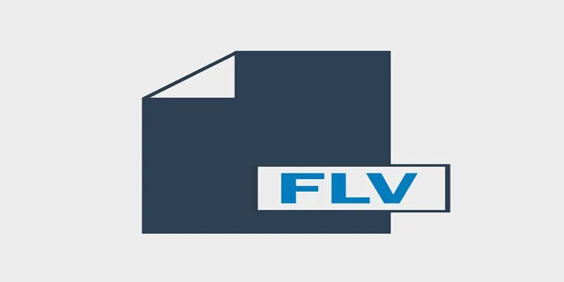 Video Formats