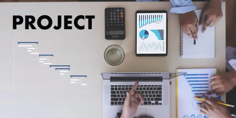 Project Management Software Interface