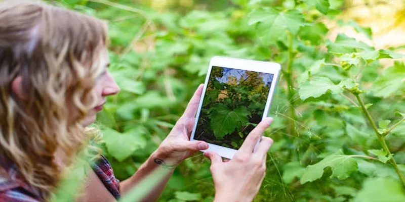 iNaturalist app interface