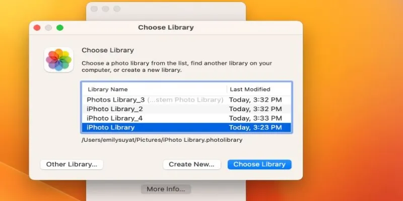 Importing libraries in the Photos app