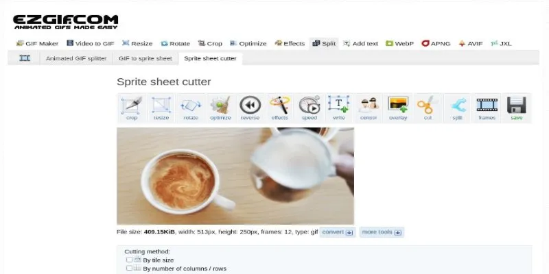 EZGIF Interface