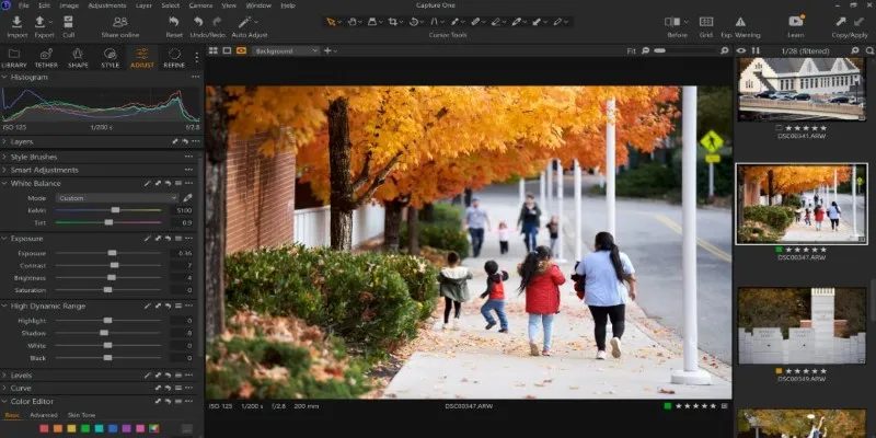 Capture One editing interface