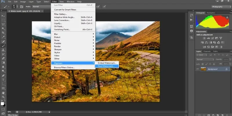 Choosing the best watermarking method