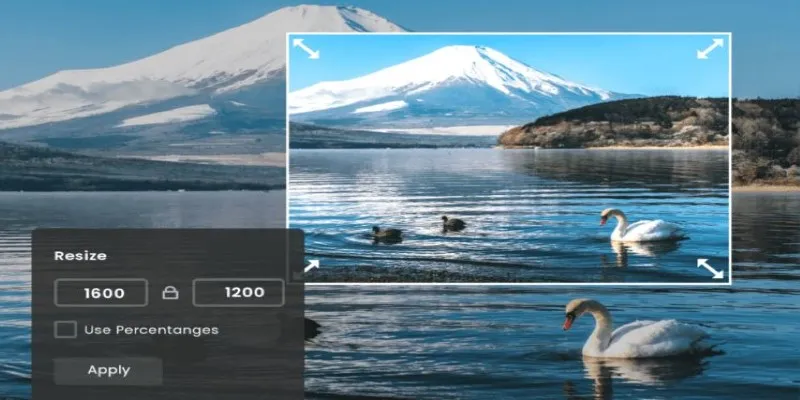 Image resizing options