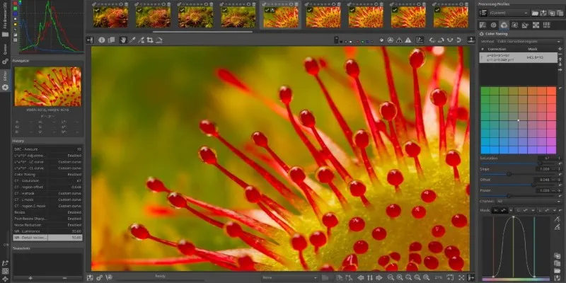 Comparison of NEF to JPG converters based on usability