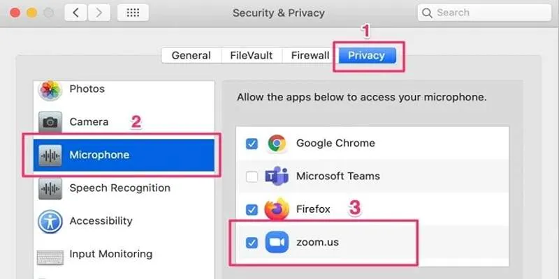 Microphone permissions
settings