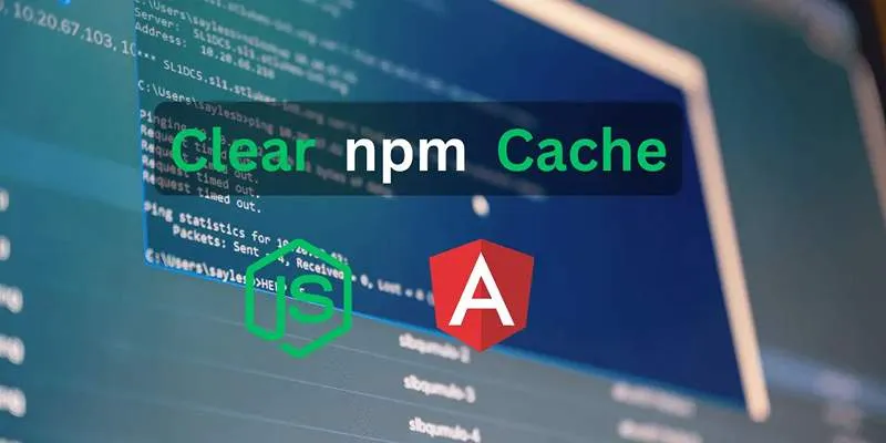Clearing NPM Cache