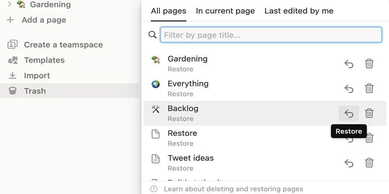 Search function in Notion