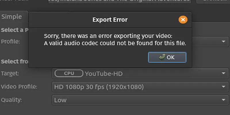 Video editing tool crash during export