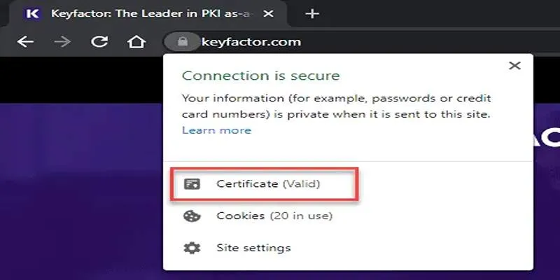 SSL Certificate Check