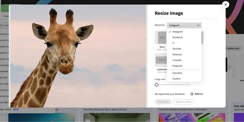 Screenshot of Remove.bg interface