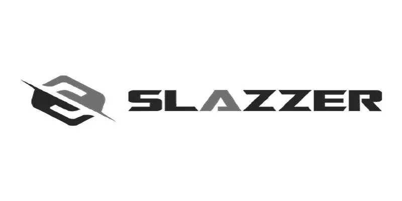 Slazzer interface example