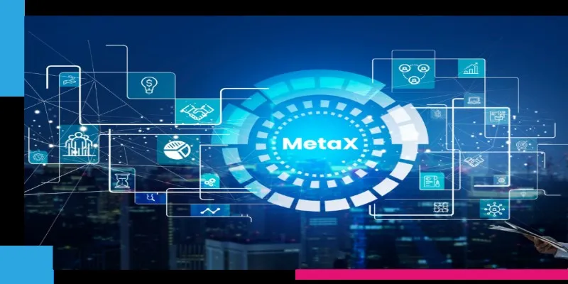MetaX Interface