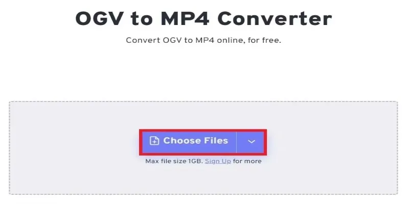 Online Video Converter Interface