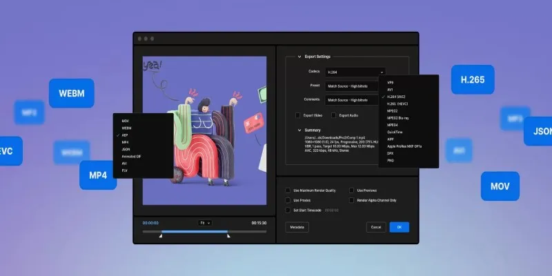 Video Formats