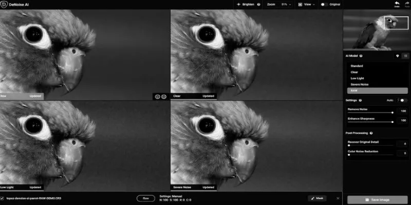 Comparison of traditional vs Topaz DeNoise AI noise reduction
