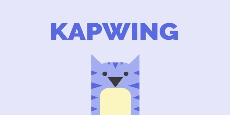 Kapwing Video Resizing Tool