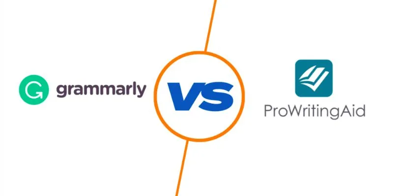 ProWritingAid and Grammarly style feedback