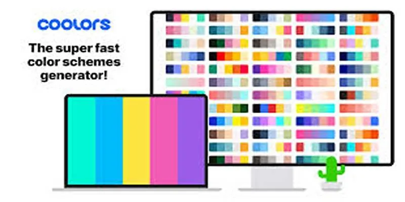 Coolors.co Interface