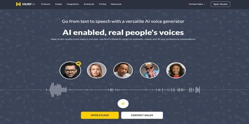 Murf AI Voice Generator Interface