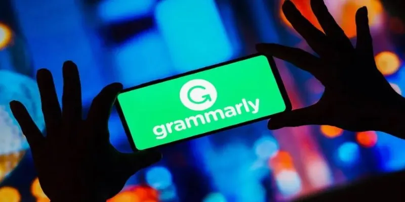 Grammarly Interface