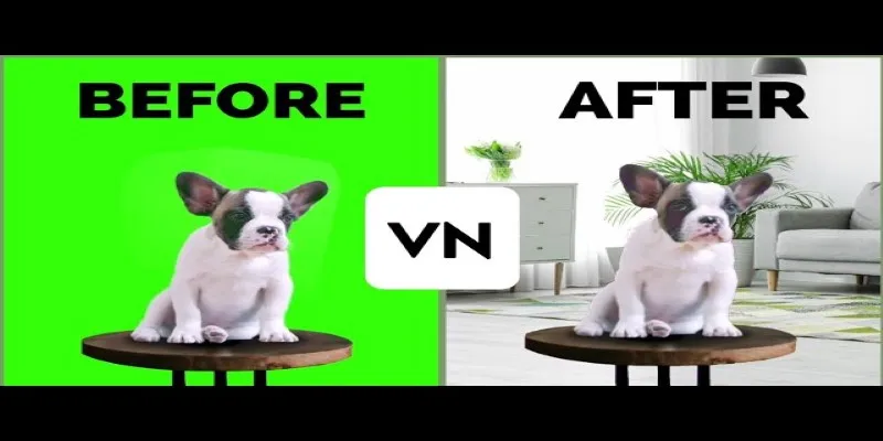 Green Screen Feature