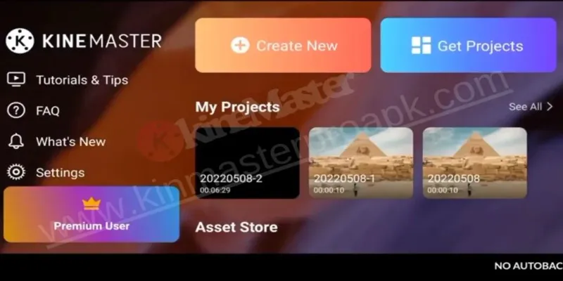 KineMaster Free vs Premium