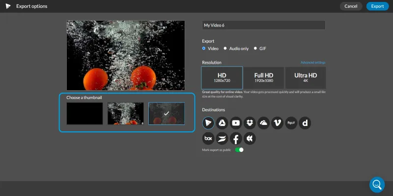 WeVideo Export Options