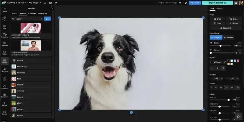 Kapwing’s built-in video editor
features