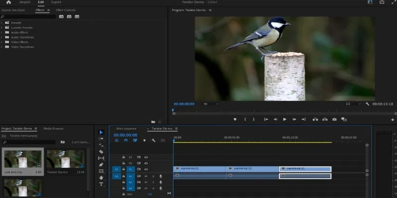 Twixtor Plugin for Slow Motion