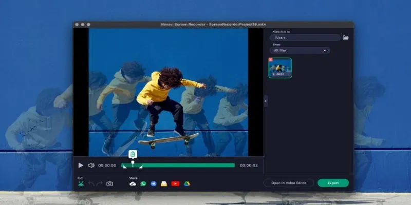 Movavi Screen Recorder Interface