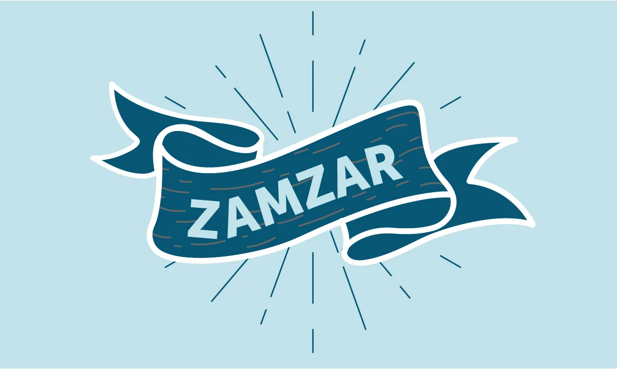 Zamzar MKV to MP4 conversion interface