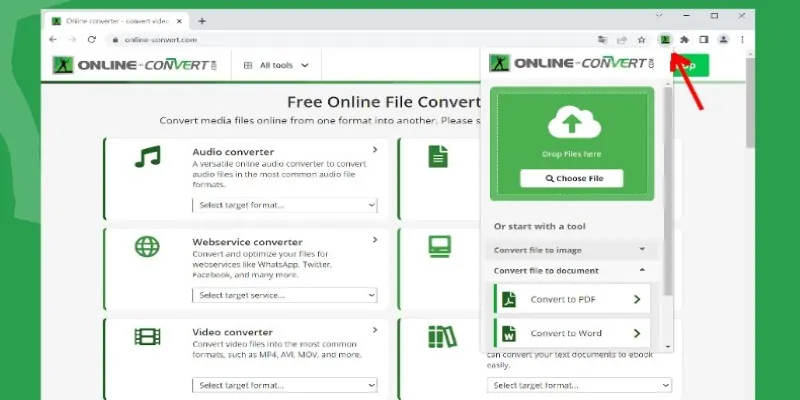 Online-Convert interface